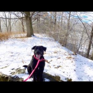 Meet your Posher, Stephen